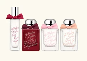 Vjomalone 62ff1b4736c3847352eb2ca67418a490