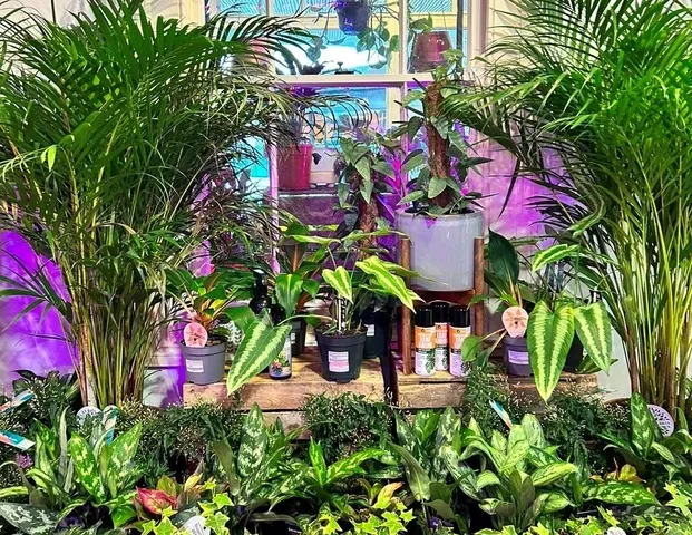 Green House Mother's Day